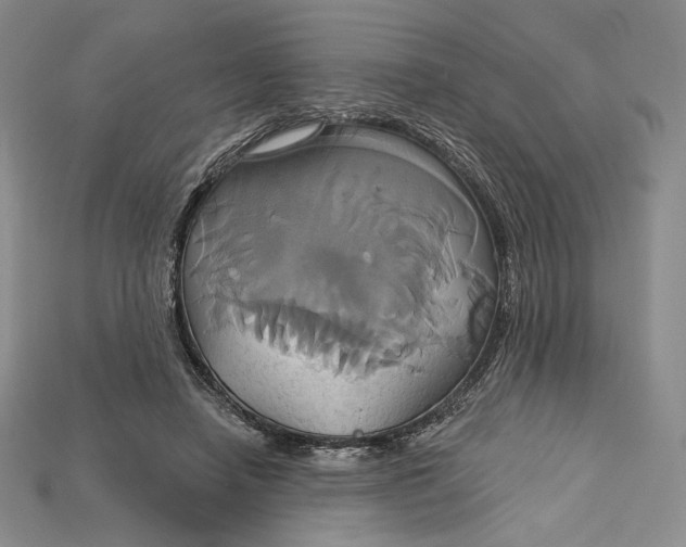 X0000115170450200911121743