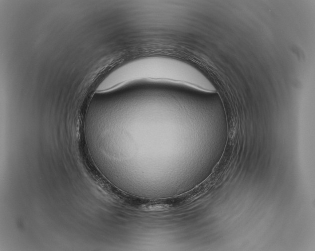 X0000115170452200911121743
