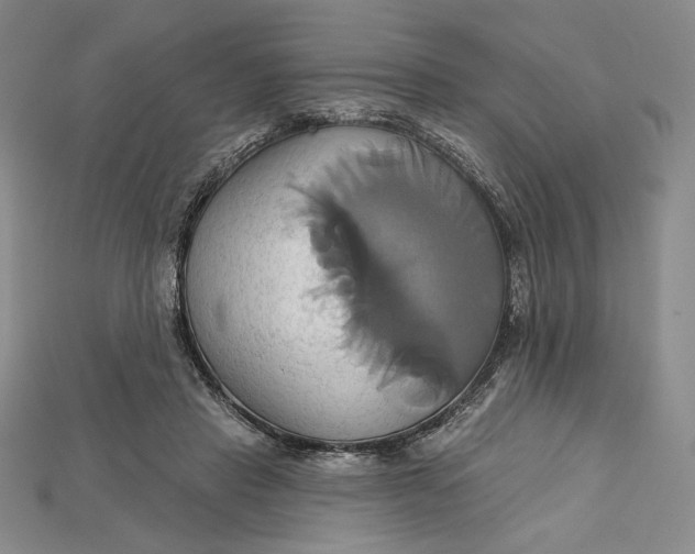X0000115170453200911121743