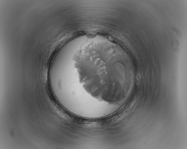 X0000115170454200911121743