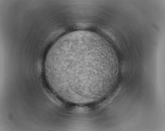 X0000115170455200911121743