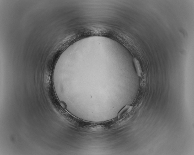 X0000115170456200911121743