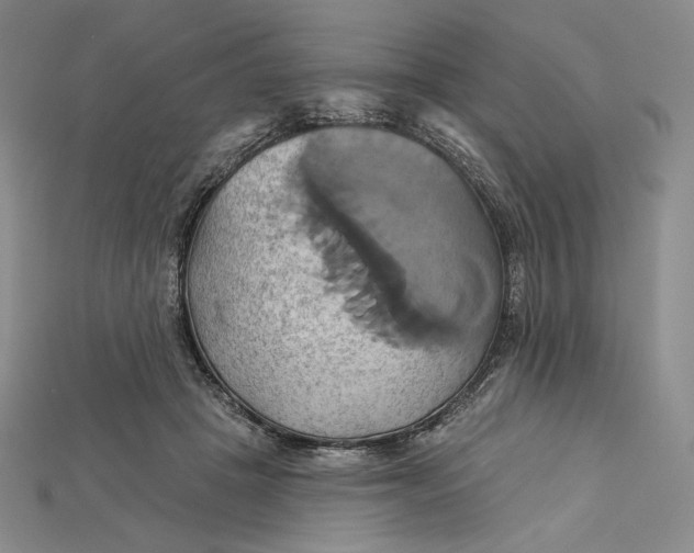 X0000115170457200911121743