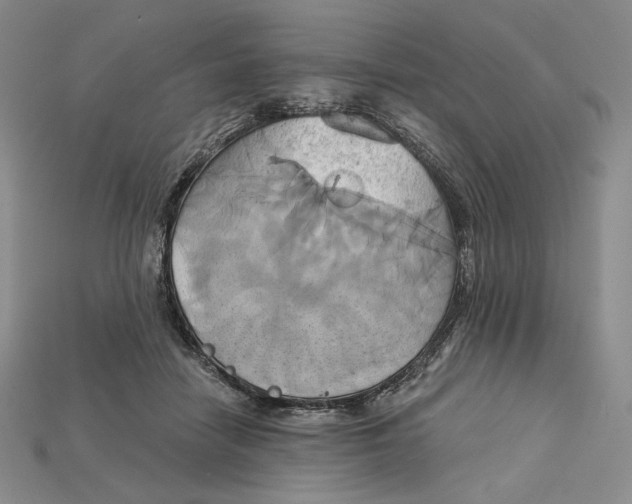 X0000115170458200911121743