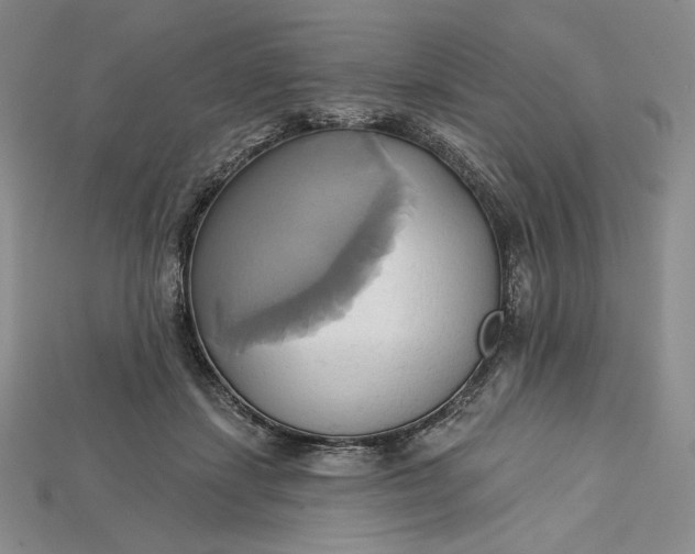 X0000115170459200911121743