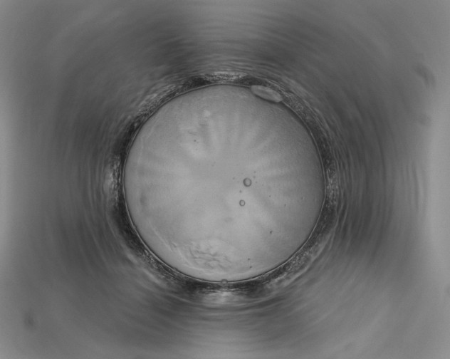 X0000115170460200911121743