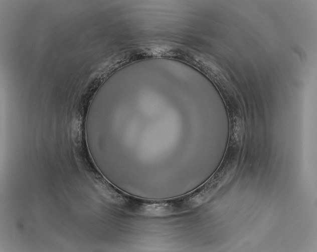 X0000115170461200911121743