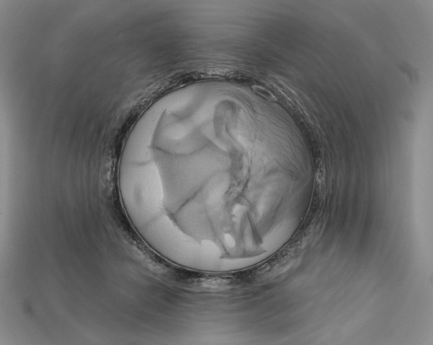 X0000115170462200911121743