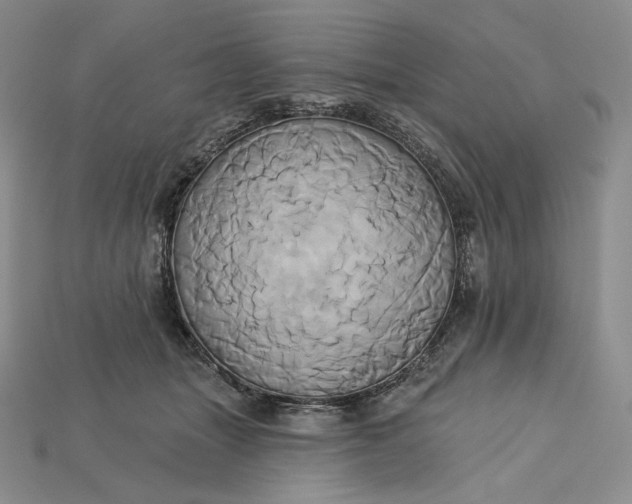 X0000115170463200911121743
