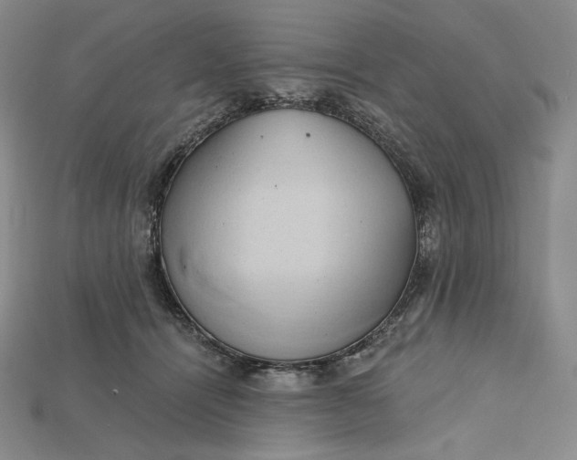 X0000115170464200911121743