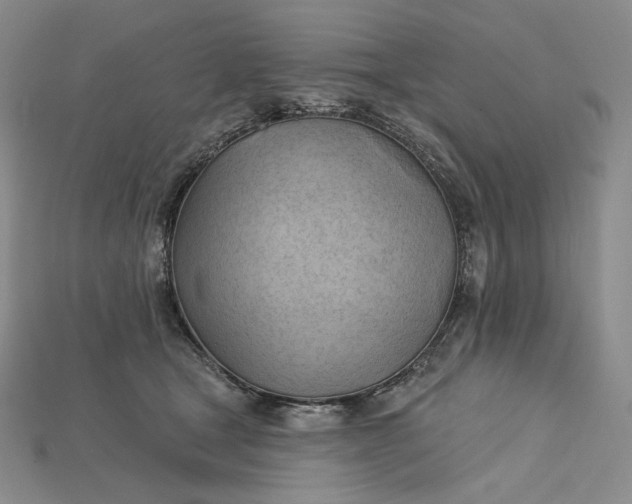 X0000115170465200911121743