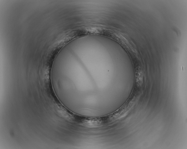 X0000115170466200911121743