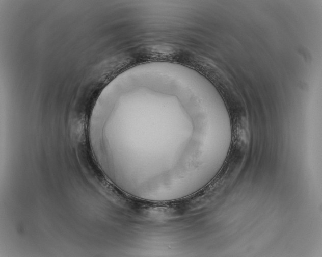 X0000115170468200911121743