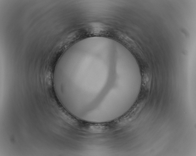 X0000115170470200911121743