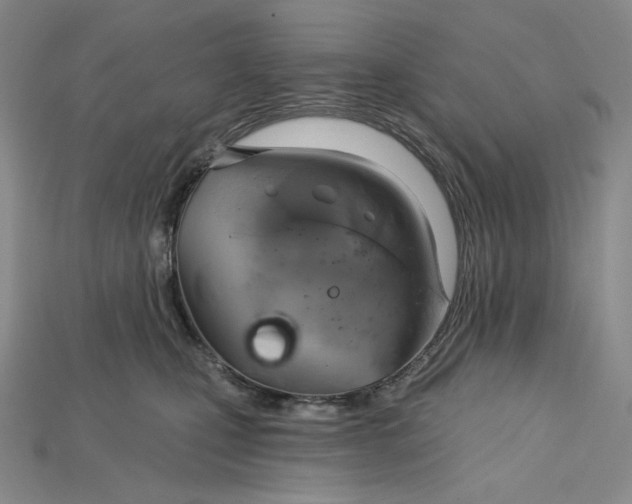 X0000115170471200911121743