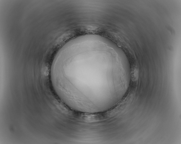 X0000115170472200911121743