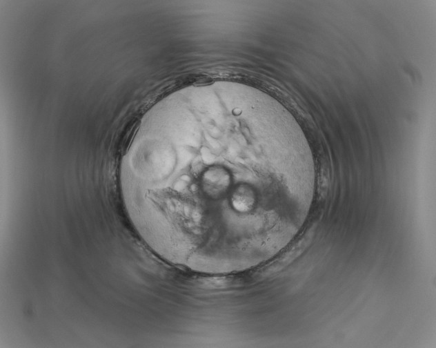 X0000115170473200911121743