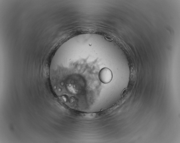 X0000115170474200911121743