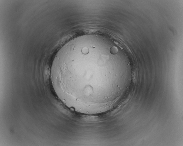 X0000115170476200911121743