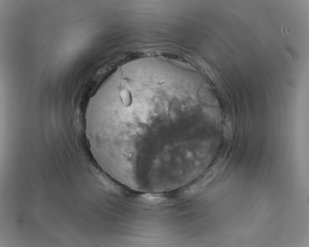 X0000115170477200911121743
