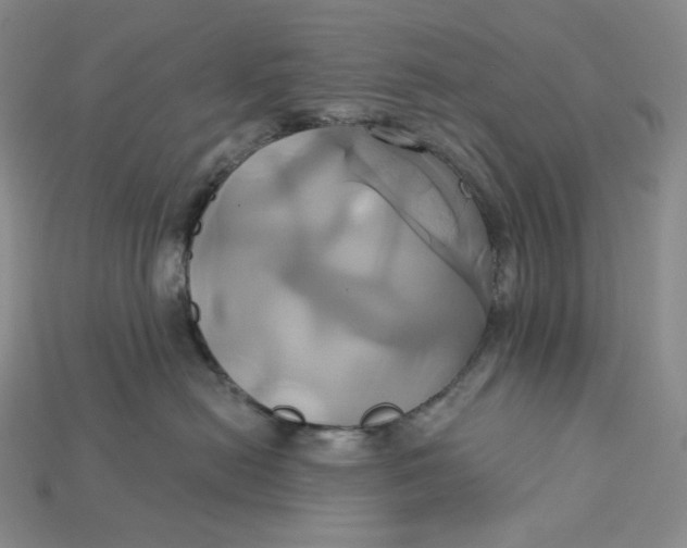 X0000115170478200911121743