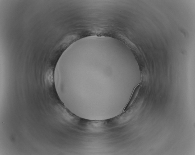 X0000115170479200911121743