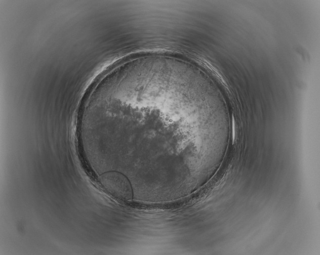X0000115170483200911121743