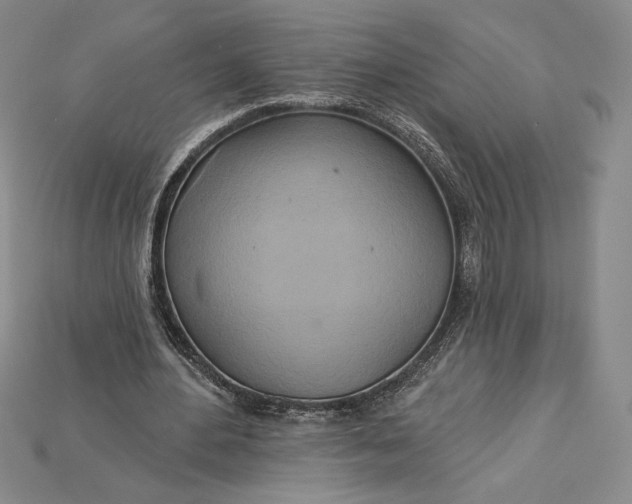 X0000115170484200911121743