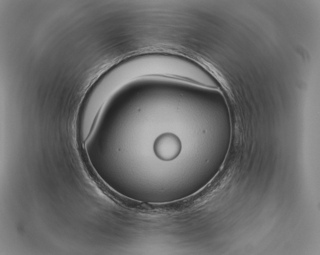 X0000115170485200911121743