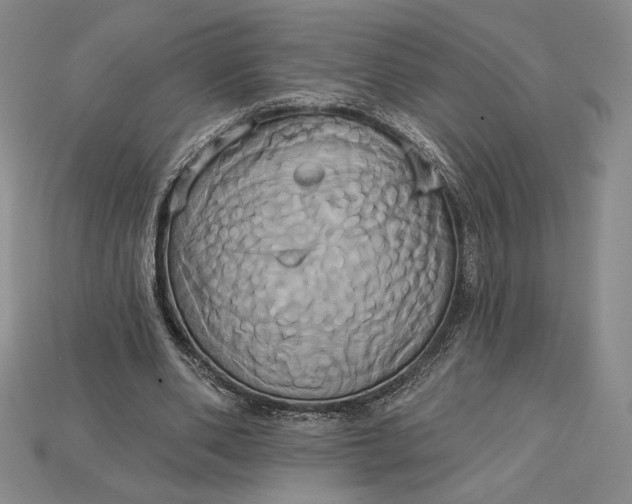 X0000115170486200911121743