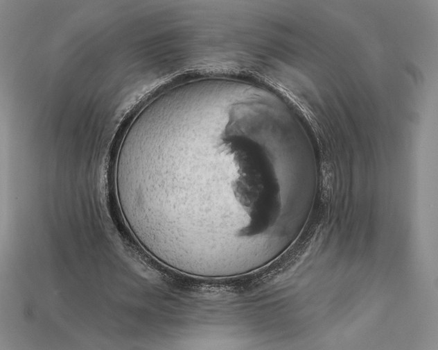 X0000115170487200911121743