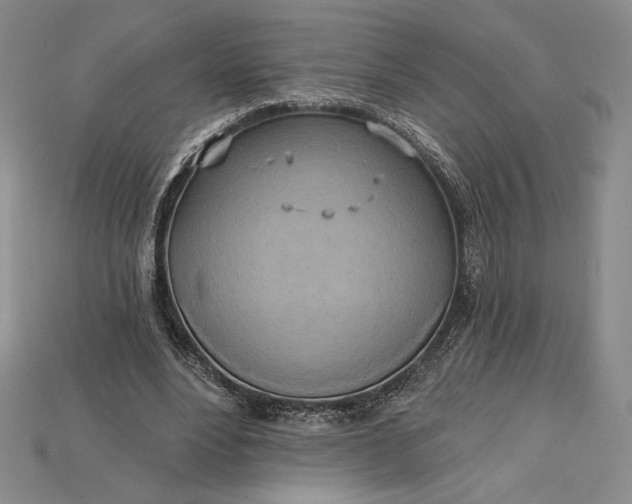 X0000115170488200911121743