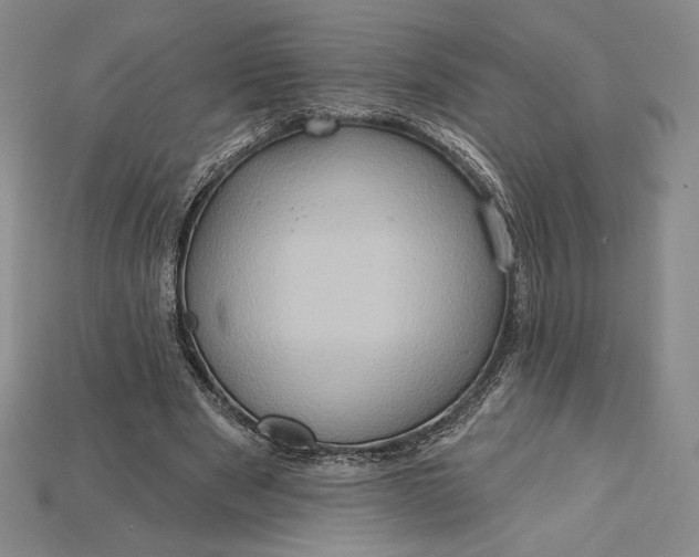 X0000115170489200911121743