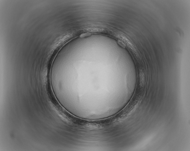 X0000115170490200911121743