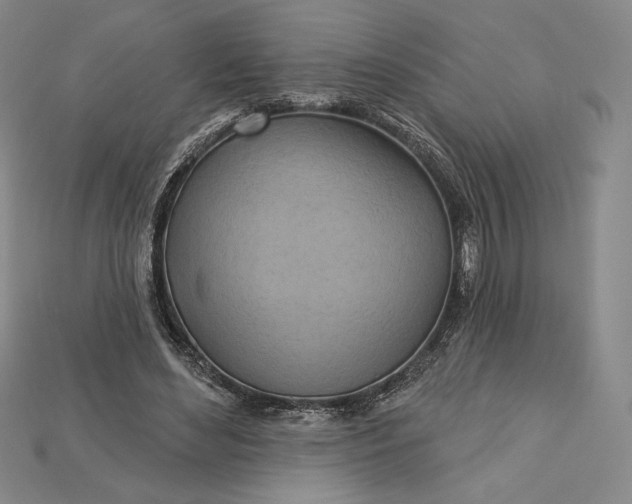X0000115170492200911121743