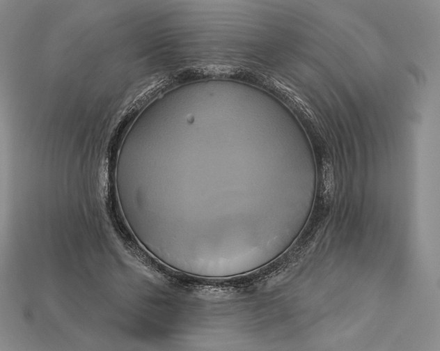 X0000115170494200911121743