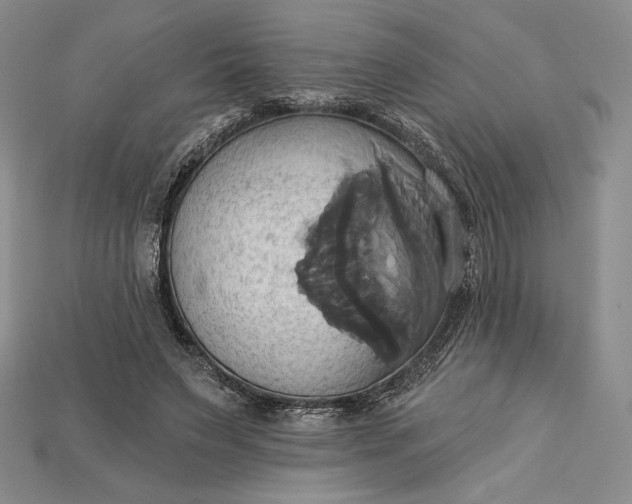 X0000115170495200911121743