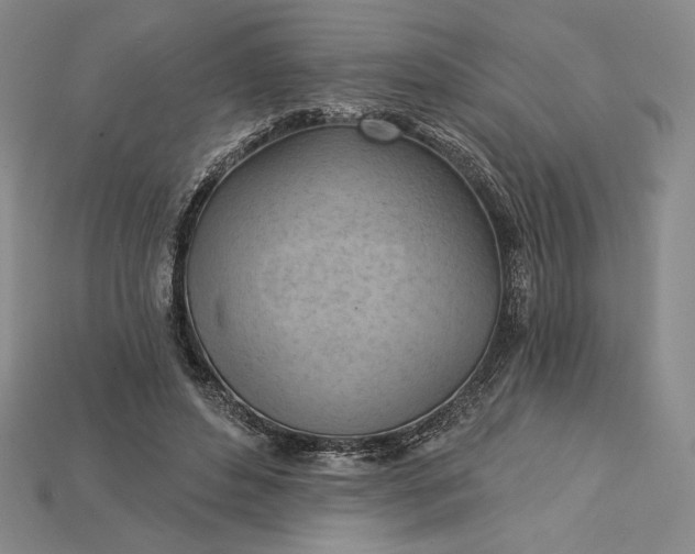 X0000115170496200911121743