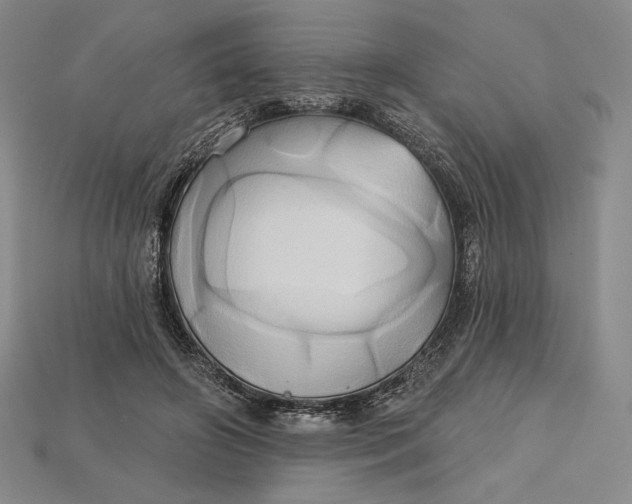 X0000115170498200911121742
