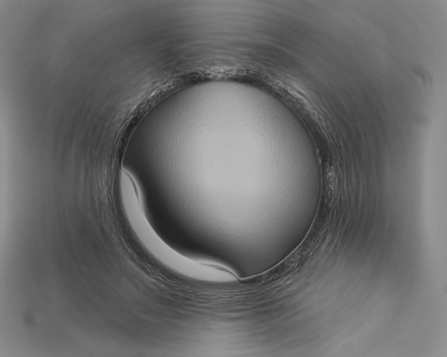 X0000115170499200911121742