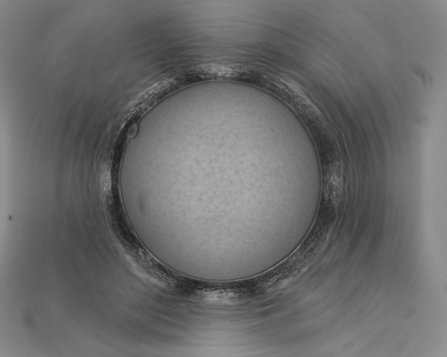 X0000115170500200911121742