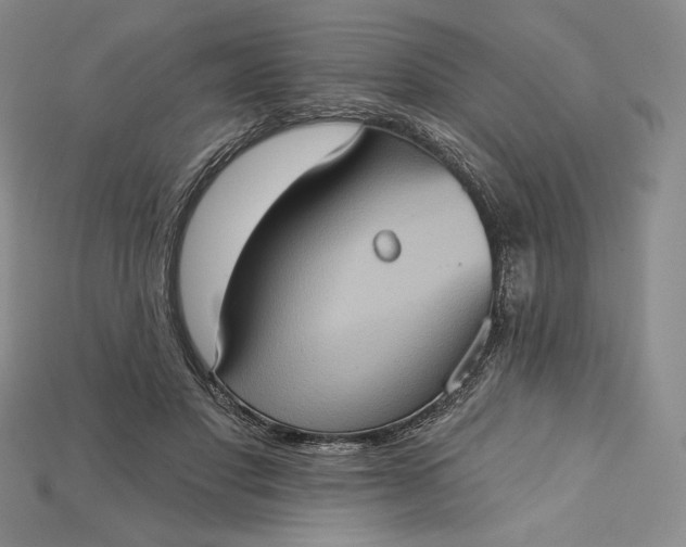 X0000115170501200911121742