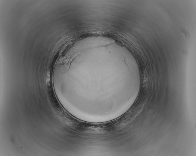 X0000115170502200911121742