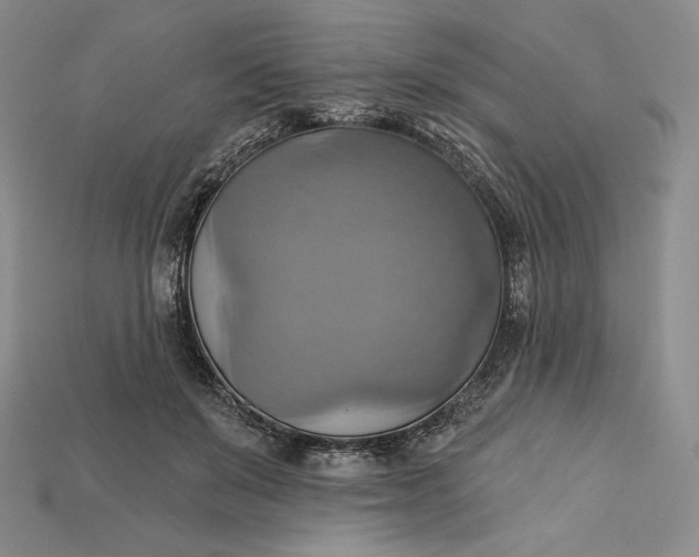 X0000115170503200911121742
