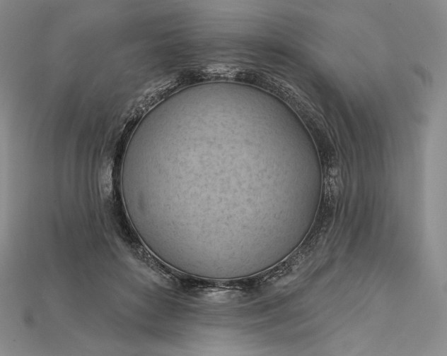 X0000115170504200911121742