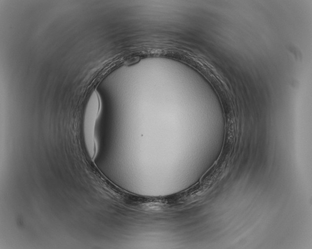 X0000115170505200911121742