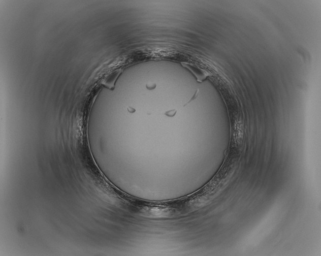X0000115170506200911121742