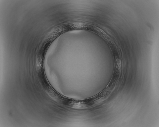 X0000115170507200911121742