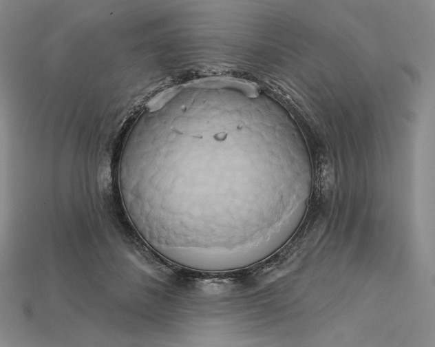 X0000115170508200911121742