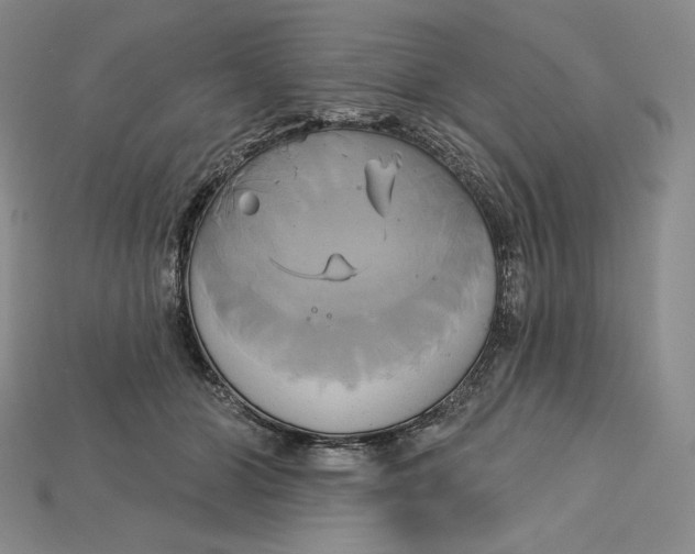 X0000115170510200911121742